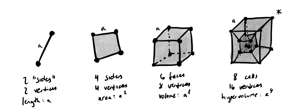 A side-by-side comparison of a line, square, cube, and hypercube
